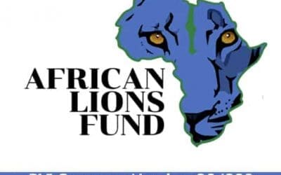 Kenya Stock Market analysis with Fund Manager Tim Staermose