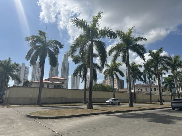 skyline with palm trees costa del este panama city