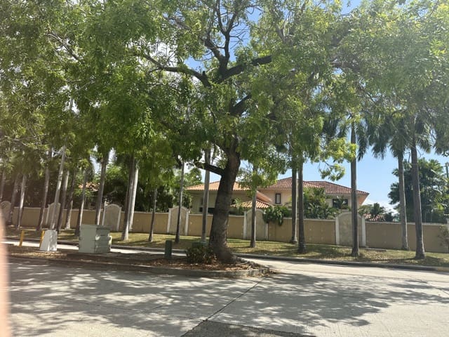 leafy street in costa del este panama city