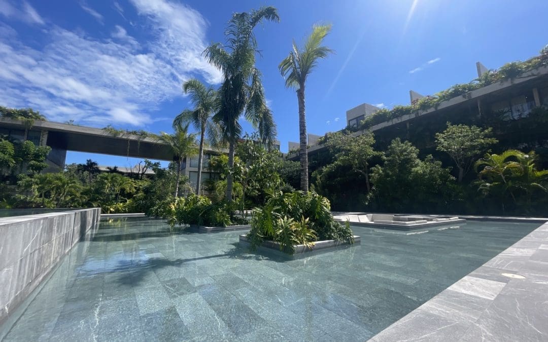 Palm trees surrounded by the pool