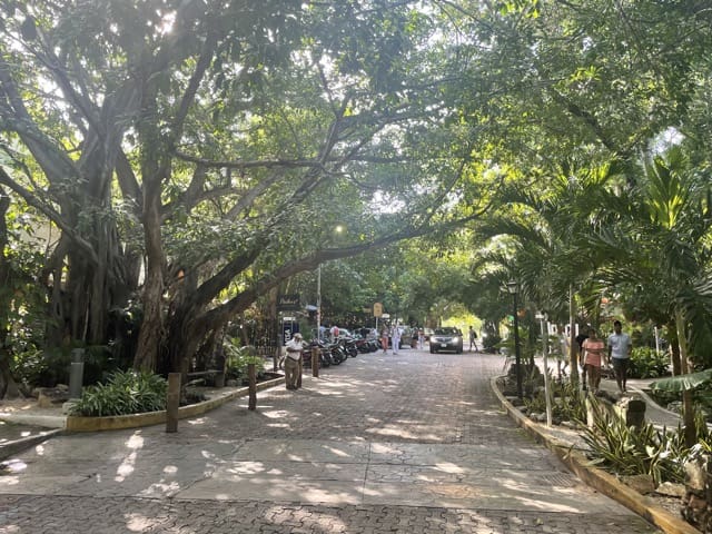 Playa del Carmen 38th street great for walking and driving
