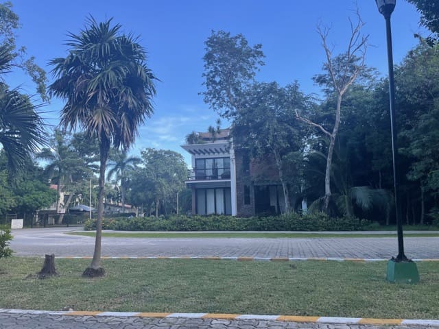 Real Estate Investment In Playa del Carmen: Yard with palm trees Playacar gated community condos