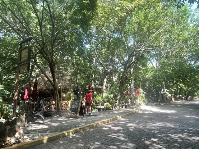 Playa del Carmen 38th street is lush with trees
