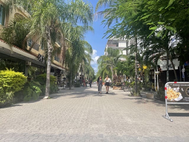 Hiking trail in Playa del Carmen, Mexico High walkability score in Playa del Carmen real estate market