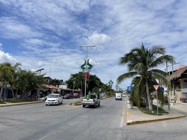 Street view and palm trees