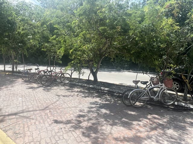Tulum street, trees and bikes