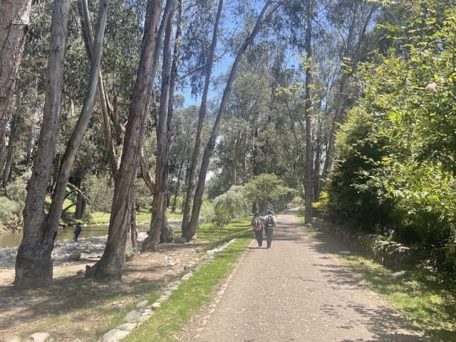 path along river with big trees in Cuenca ecuador