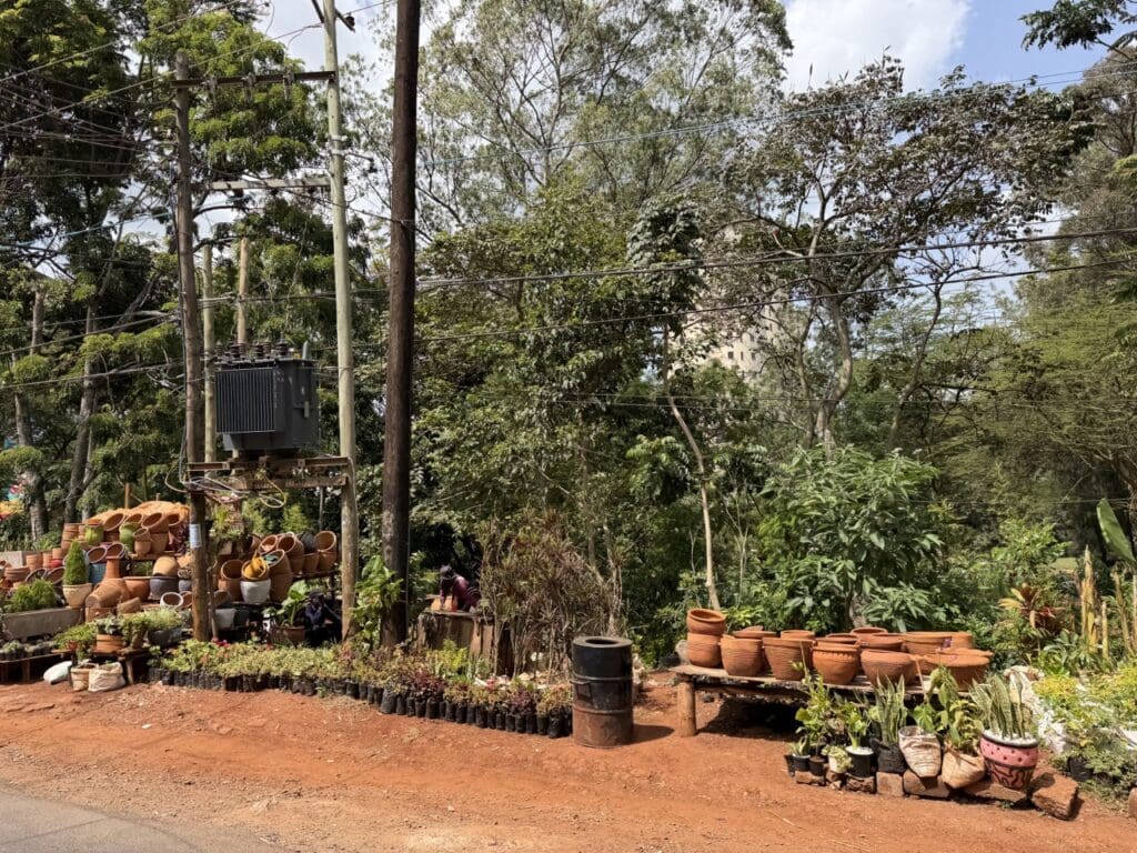 Sales of plants in Brookside, Nairobi