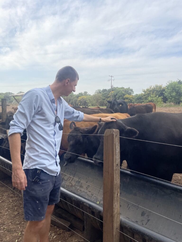 Ladislas avec un vache au Paraguay