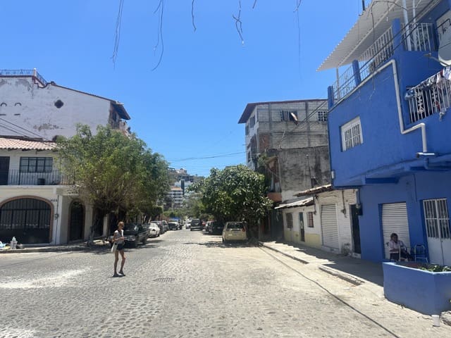 Street in Lazaro Cardenas Puerto Vallarta