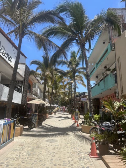 Sayulita street