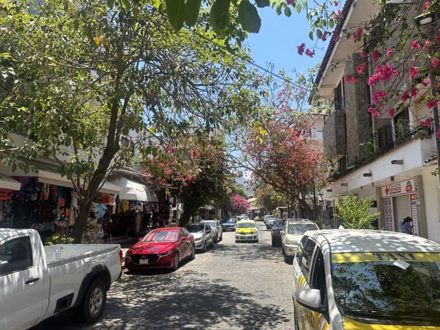 rue dans Zona Romantica Puerto Vallarta