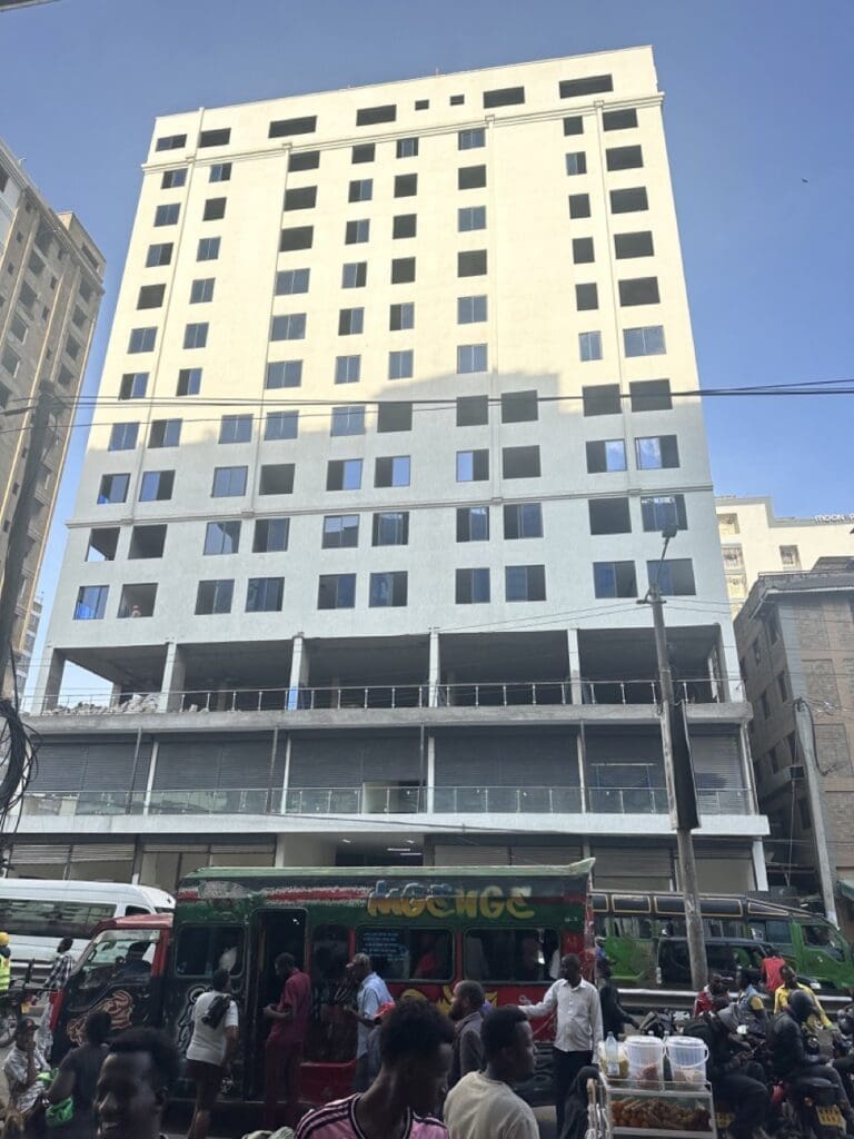 Somali developer in Nairobi