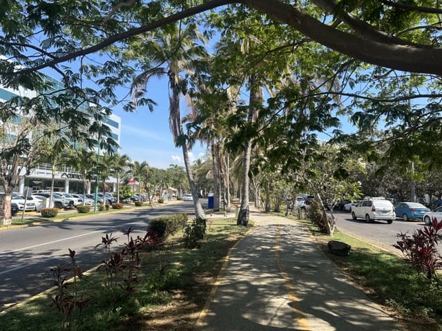 street in Nuevo Vallarta