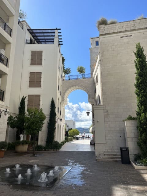 porto montenegro