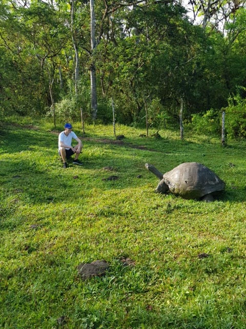 man looking at giant tortoise in the galapagos