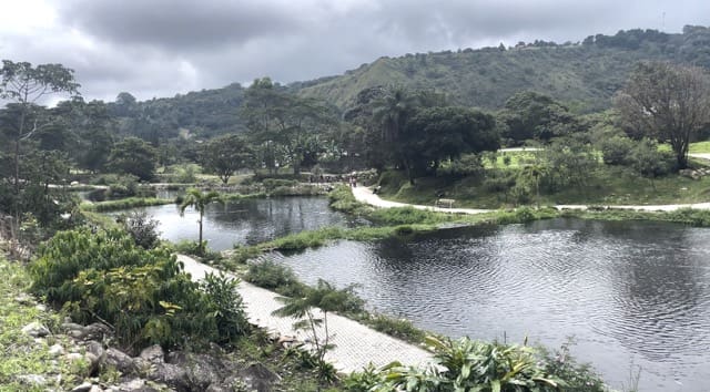 Parc de Boquete