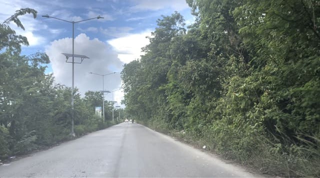 undeveloped street in Playa del Carmen