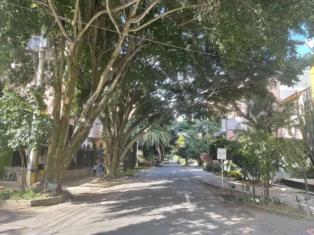 Street in Laureles Street in Laureles