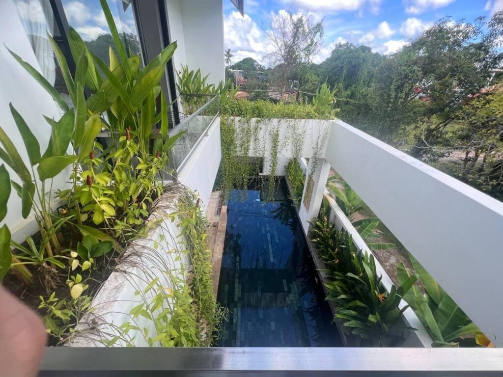 swimming pool surrounded by greenery in a Siem Reap villa Airbnb property