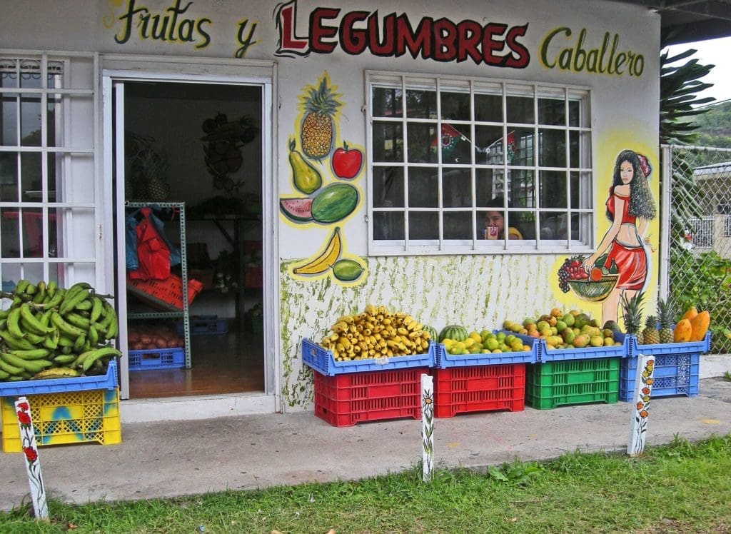 fruit shop living in Panama
