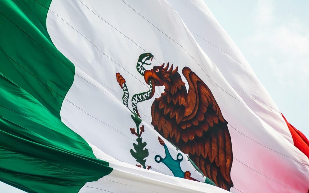 Mexican regularization program