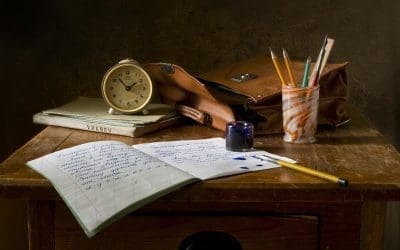 International Online School for Expats review
