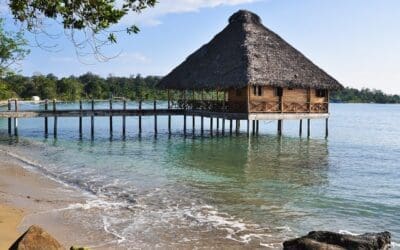 The Pros and Cons when you buy Real Estate in Bocas del Toro, Panama