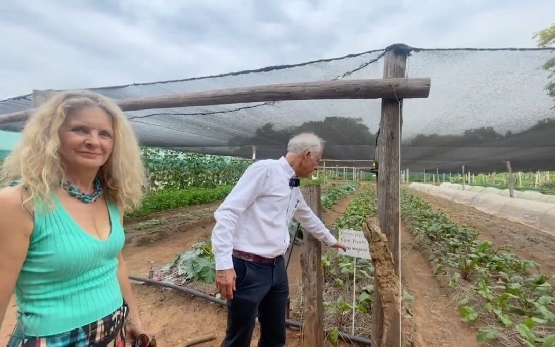 The off-grid Community in Paraguay you never heard of – a great Plan B in Latin America