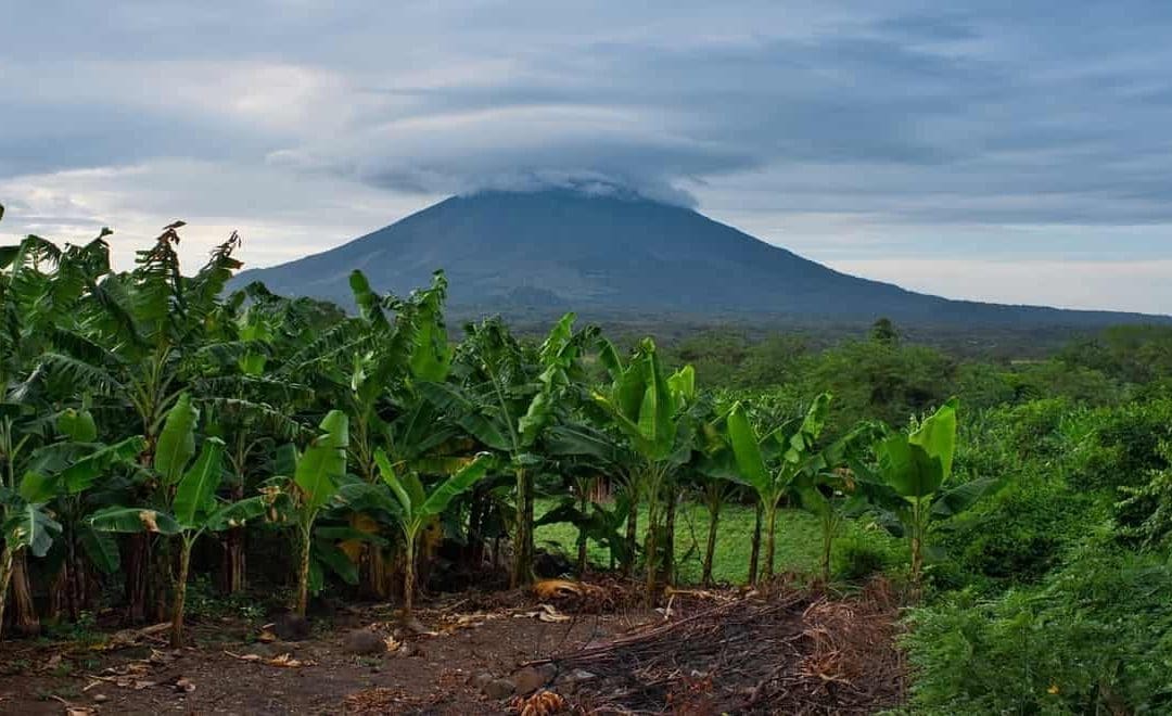 Is Nicaragua a Worthy Investment Destination?