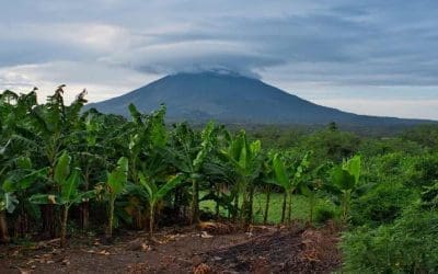 Is Nicaragua a Worthy Investment Destination?